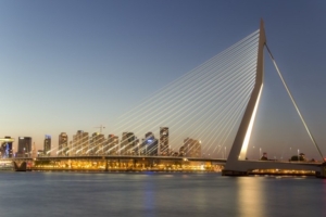 Picture of De Zwaan